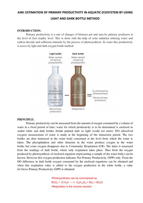 light and dark bottle method